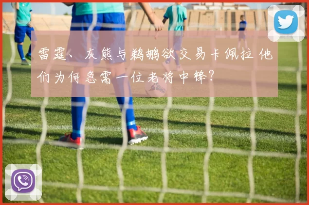 雷霆、灰熊与鹈鹕欲交易卡佩拉 他们为何急需一位老将中锋？