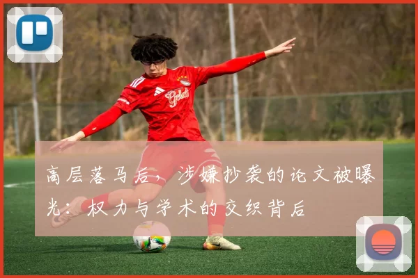 高层落马后，涉嫌抄袭的论文被曝光：权力与学术的交织背后