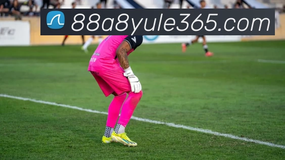 88A8娱乐365平台生态图